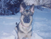 Beverly_Wright_Brooke_Eating_Snow.jpg